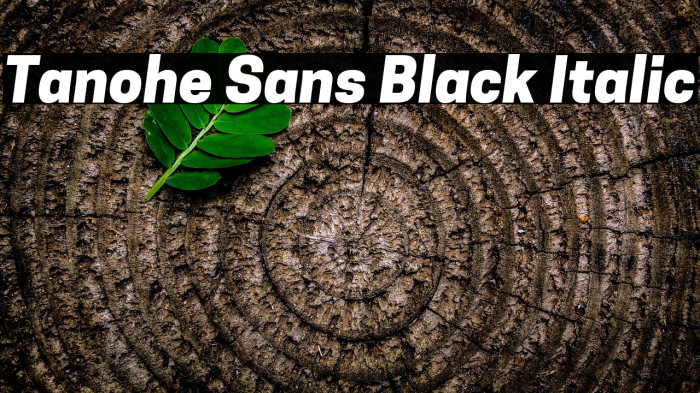 Tanohe Sans Black Italic Example 1