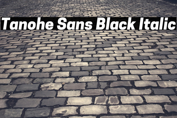 Tanohe Sans Black Italic Example 2