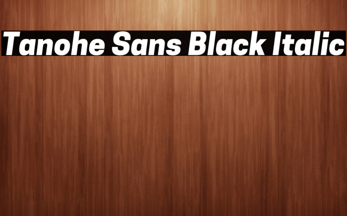Tanohe Sans Black Italic Example 3