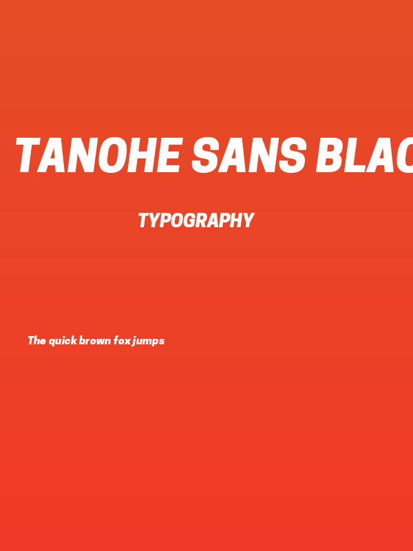 Tanohe Sans Black Italic Poster