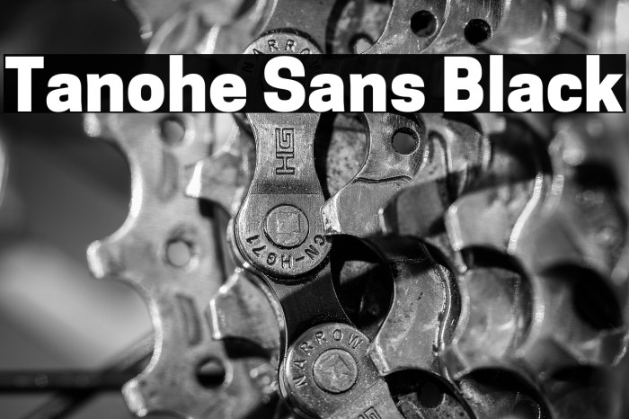 Tanohe Sans Black Example 1