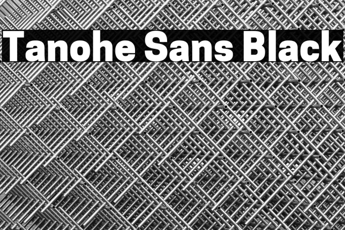 Tanohe Sans Black Example 2