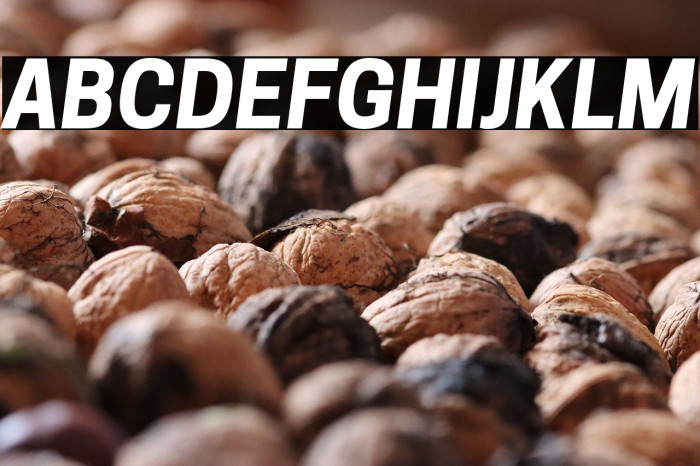 Tanohe Sans Bold Italic Example 2