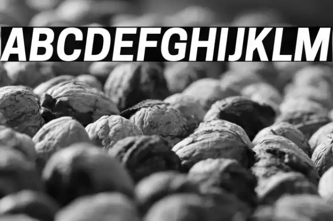 Tanohe Sans Bold Italic Font examples