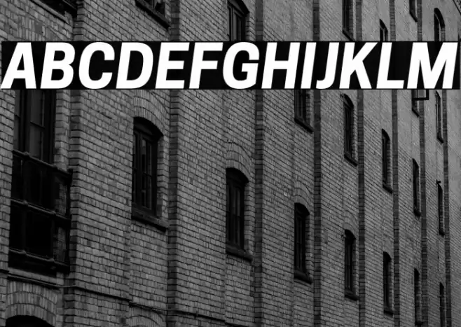 Tanohe Sans Bold Italic Font examples