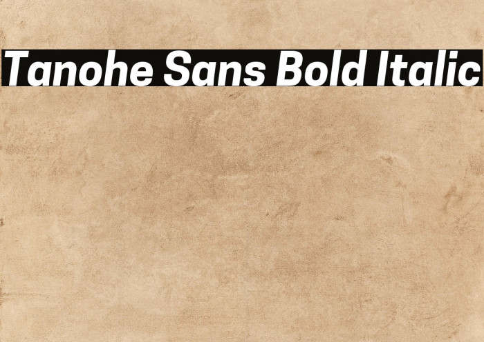 Tanohe Sans Bold Italic Example 2
