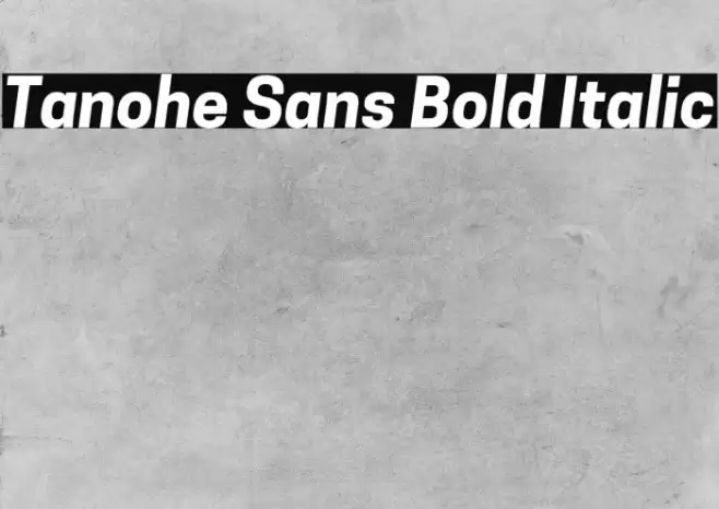 Tanohe Sans Bold Italic Font examples