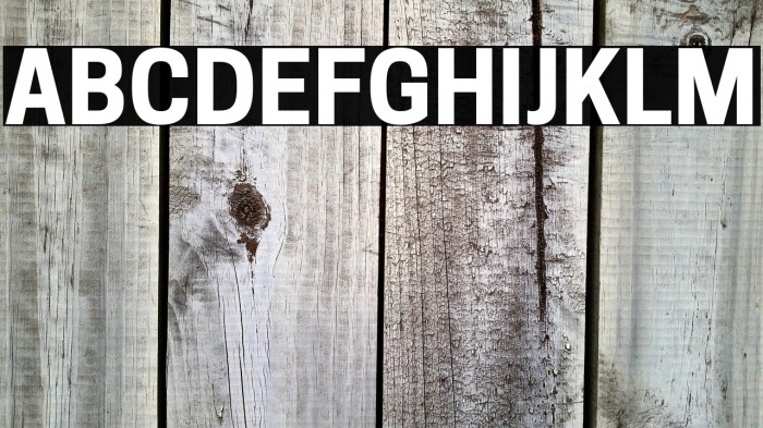 Tanohe Sans Bold Example 2