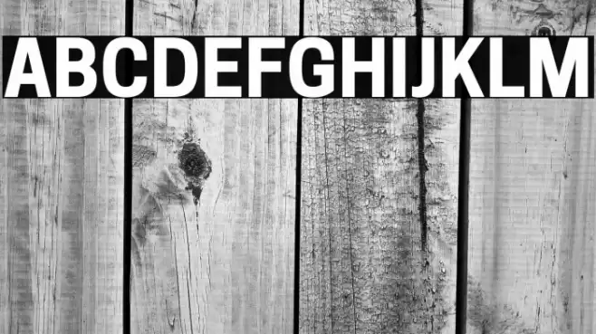 Tanohe Sans Bold Font examples