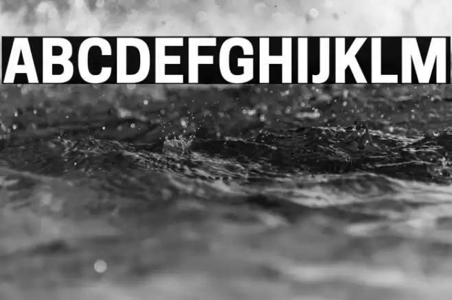 Tanohe Sans Bold Font examples