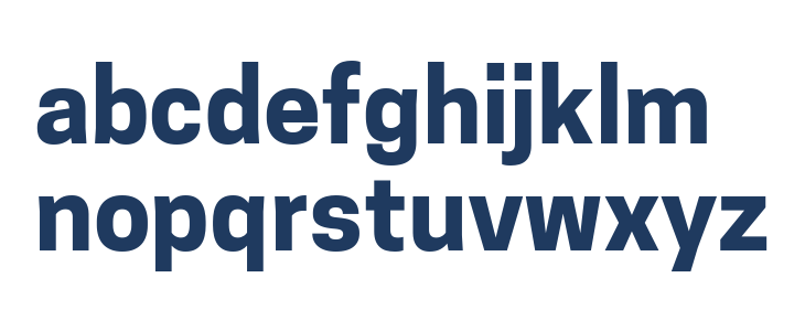 Tanohe Sans Bold Lowercase