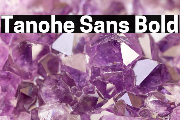 Tanohe Sans Bold Example 2