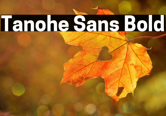 Tanohe Sans Bold Example 3