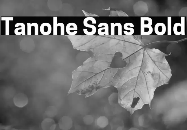 Tanohe Sans Bold Font examples