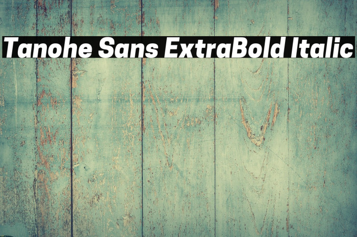 Tanohe Sans ExtraBold Italic Example 2