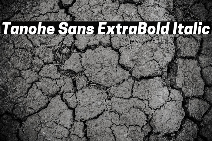 Tanohe Sans ExtraBold Italic Example 3