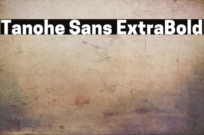 Tanohe Sans ExtraBold Example 1