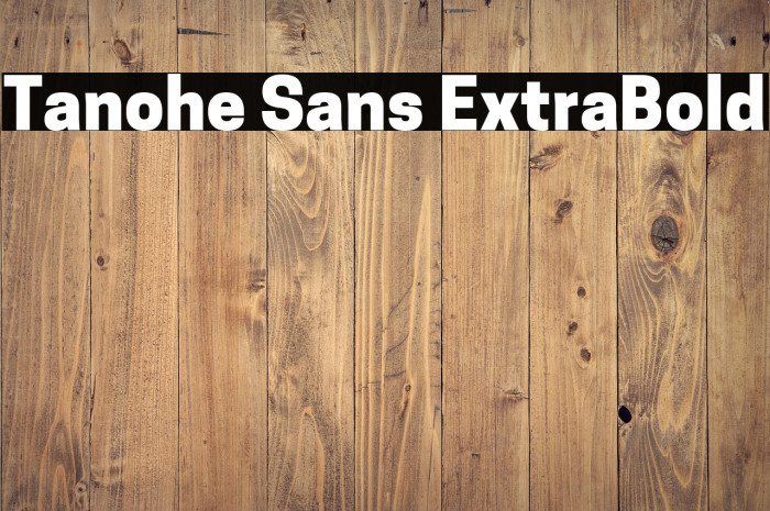 Tanohe Sans ExtraBold Example 2