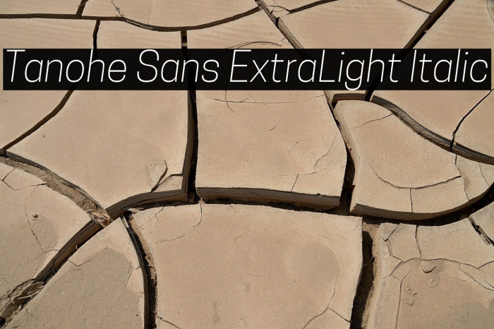 Tanohe Sans ExtraLight Italic Example 3