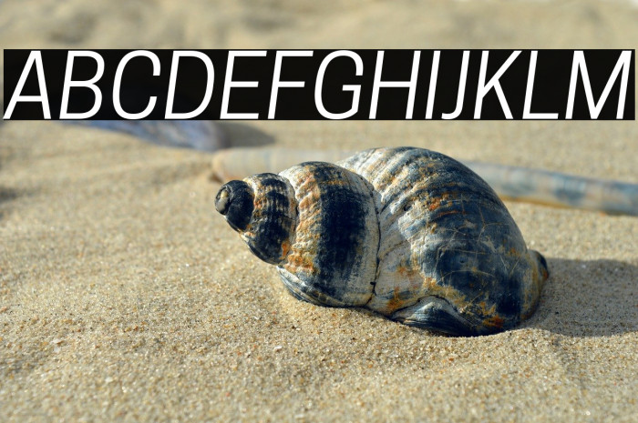 Tanohe Sans Italic Example 1