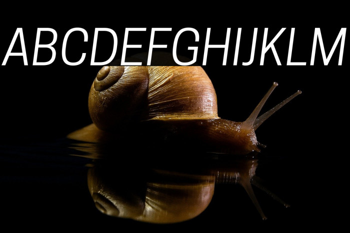 Tanohe Sans Italic Example 2