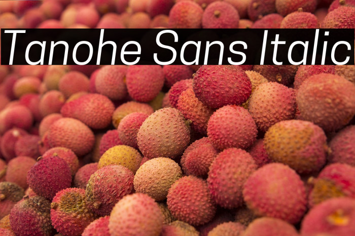 Tanohe Sans Italic Example 1