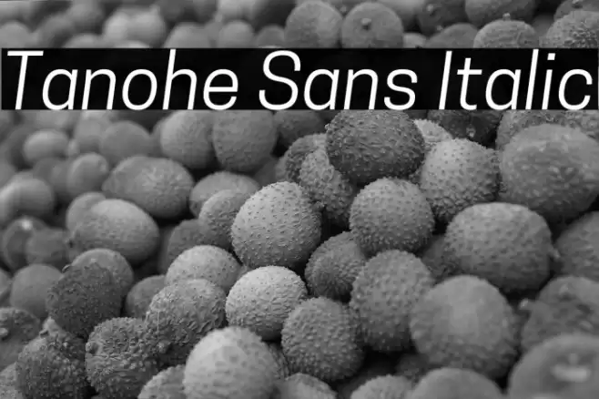 Tanohe Sans Italic Font examples