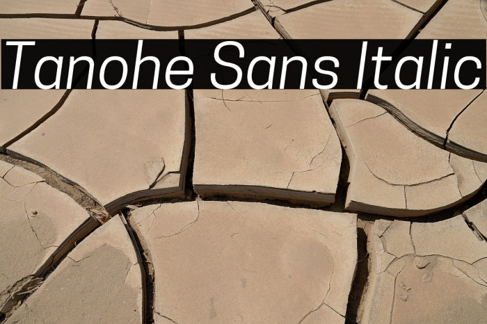 Tanohe Sans Italic Example 2