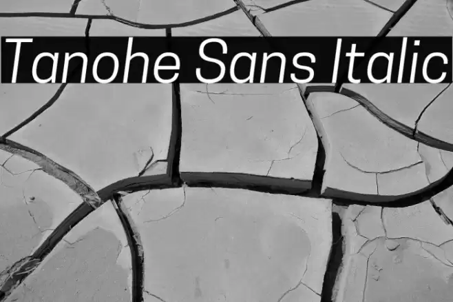 Tanohe Sans Italic Font examples