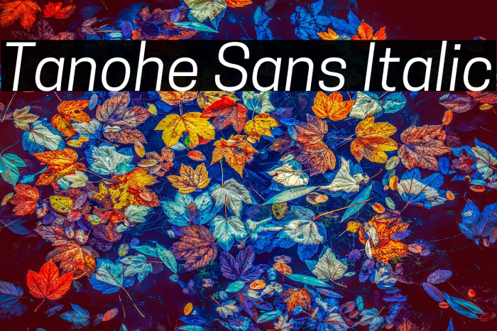 Tanohe Sans Italic Example 3