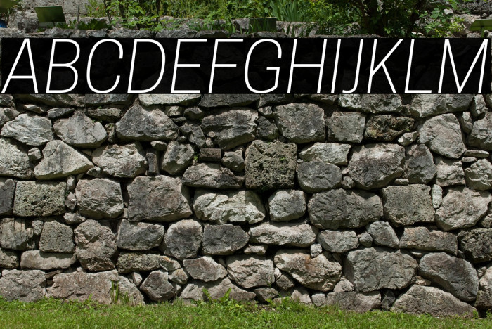 Tanohe Sans Light Italic Example 1