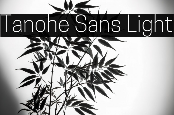 Tanohe Sans Light Example 2