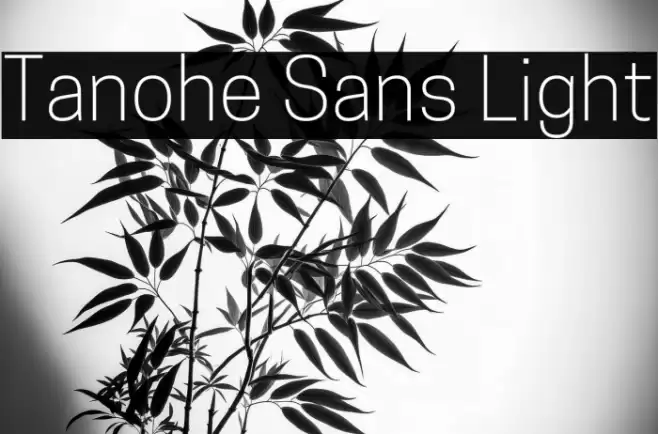 Tanohe Sans Light Font examples
