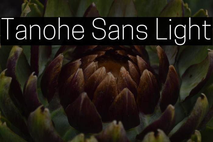 Tanohe Sans Light Example 3