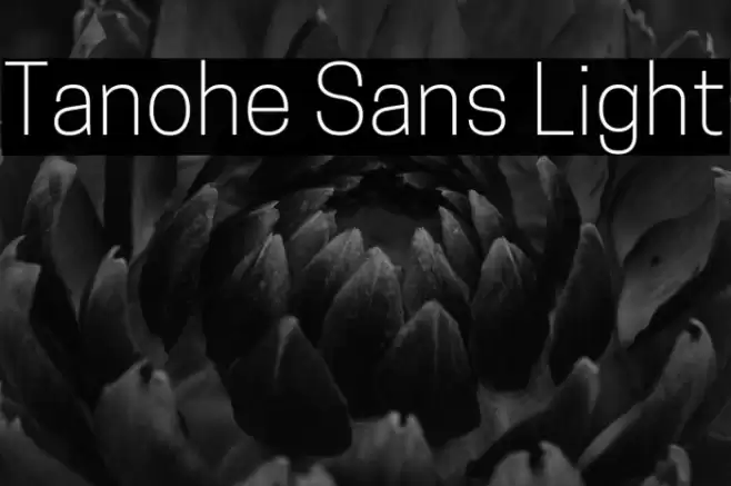 Tanohe Sans Light Font examples