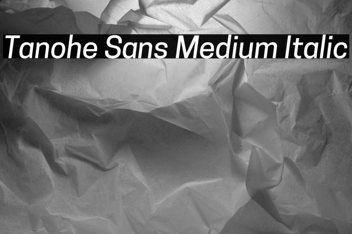 Tanohe Sans Medium Italic Example 1