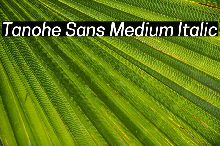 Tanohe Sans Medium Italic Example 2