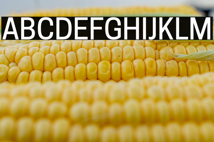 Tanohe Sans Medium Example 2