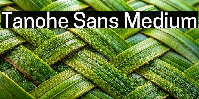 Tanohe Sans Medium Example 1
