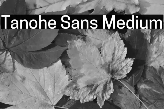 Tanohe Sans Medium Font examples