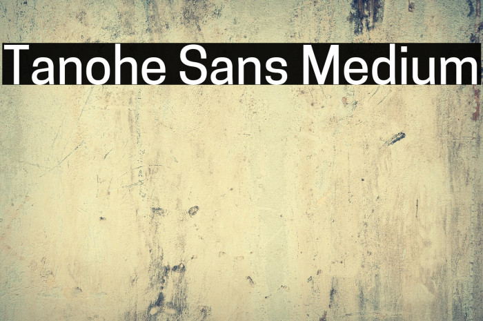 Tanohe Sans Medium Example 3