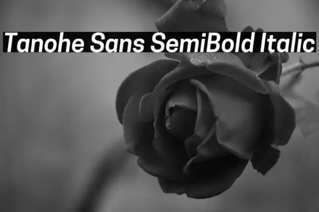 Tanohe Sans SemiBold Italic Font examples