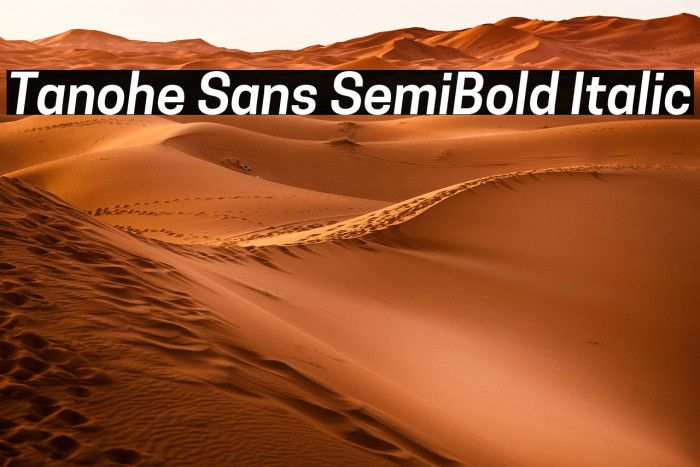 Tanohe Sans SemiBold Italic Example 3