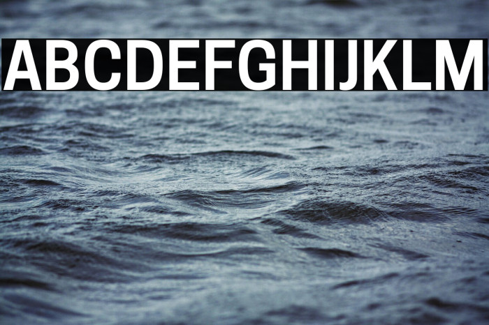 Tanohe Sans SemiBold Example 3