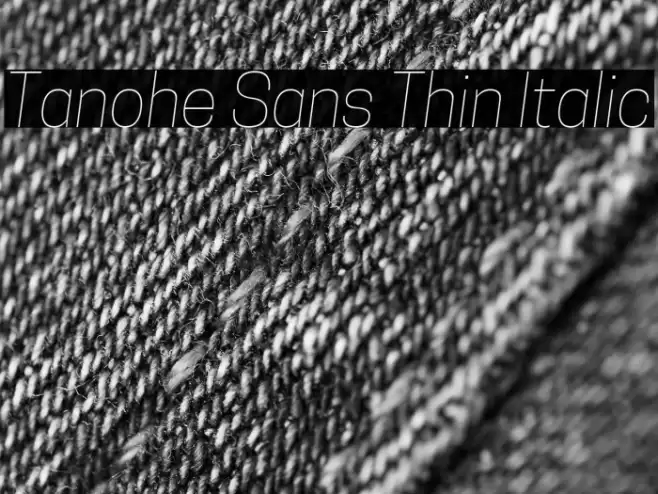 Tanohe Sans Thin Italic Font examples