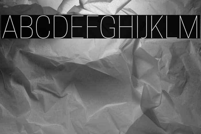 Tanohe Sans Thin Example 3