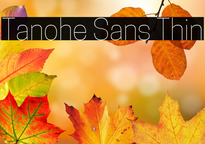 Tanohe Sans Thin Example 1