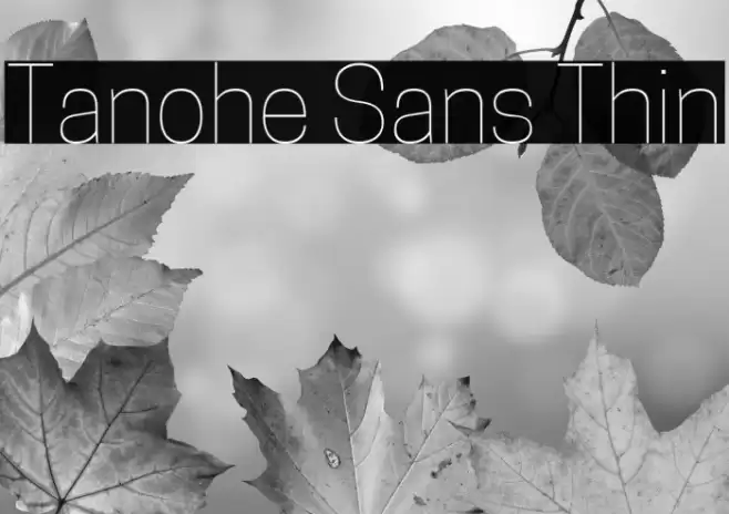 Tanohe Sans Thin Font examples