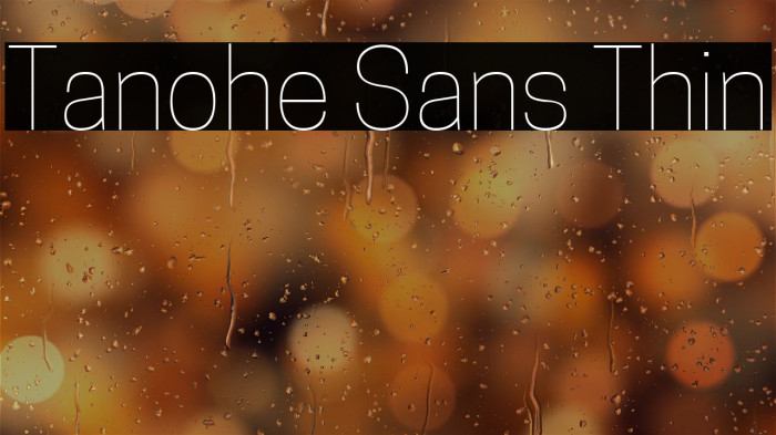 Tanohe Sans Thin Example 2