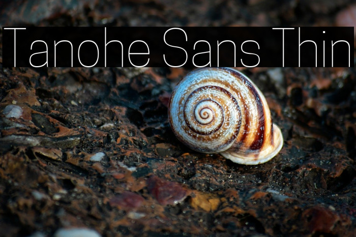 Tanohe Sans Thin Example 3